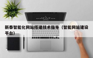 兰考新泰智能化网站搭建技术指导（智能网站建设平台）